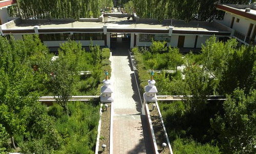 Guest House 