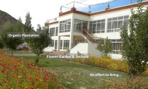 Organic Green House