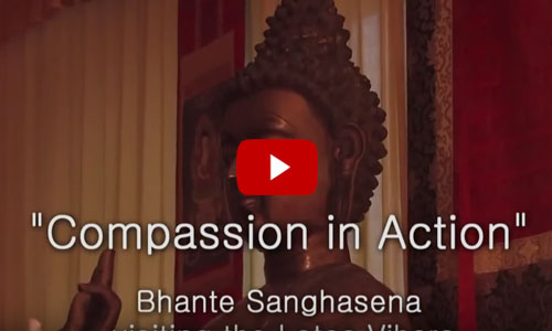 Compassion in Action  